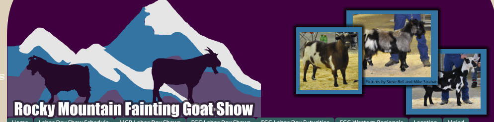 Rocky Mountain Fainting Goat Show Pictures by Steve Bell and Mike Strahan